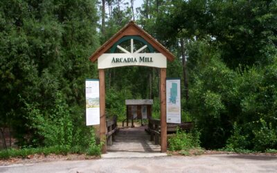 This Month in Historic Arcadia