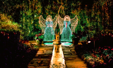 Bellingrath Gardens and Home celebrates 25 Years of Magic Christmas in Lights