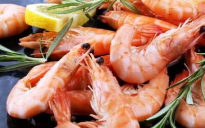 THE BUFFET AT BEAU RIVAGE IS NOW OPEN