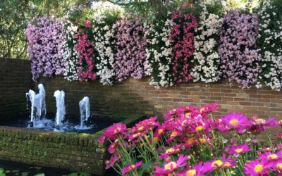 July Events at Bellingrath Gardens and Home