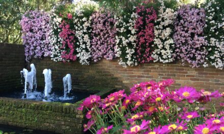 July Events at Bellingrath Gardens and Home