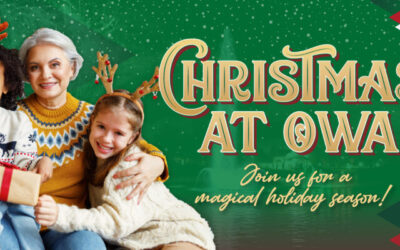 Experience a Season Full of Christmas Activities at OWA Parks & Resort