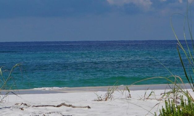 Gulf Islands National Seashore January Events