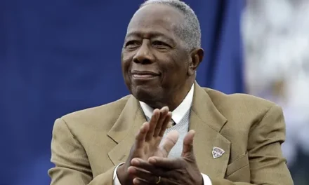 Hank Aaron Sports Academy partners with Team Renteria