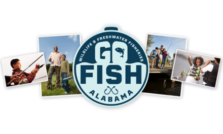 Alabama’s Red Snapper Season Opens May 24