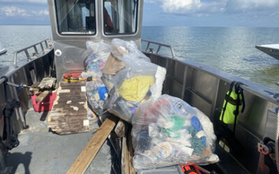 Gulf Islands National Seashore partners with Mississippi State University for marine debris removal on barrier islands