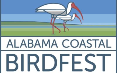 Join Alabama BirdFest Oct. 4-6