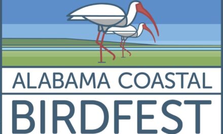 Join Alabama BirdFest Oct. 4-6