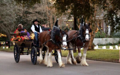 Hattiesburg Holiday Festivities Take Over Downtown