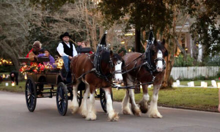 Hattiesburg Holiday Festivities Take Over Downtown