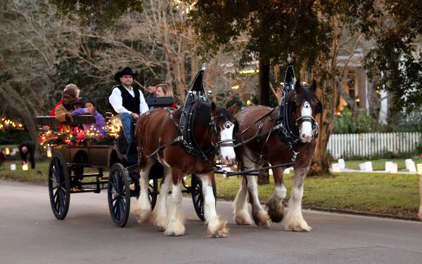 Hattiesburg Holiday Festivities Take Over Downtown